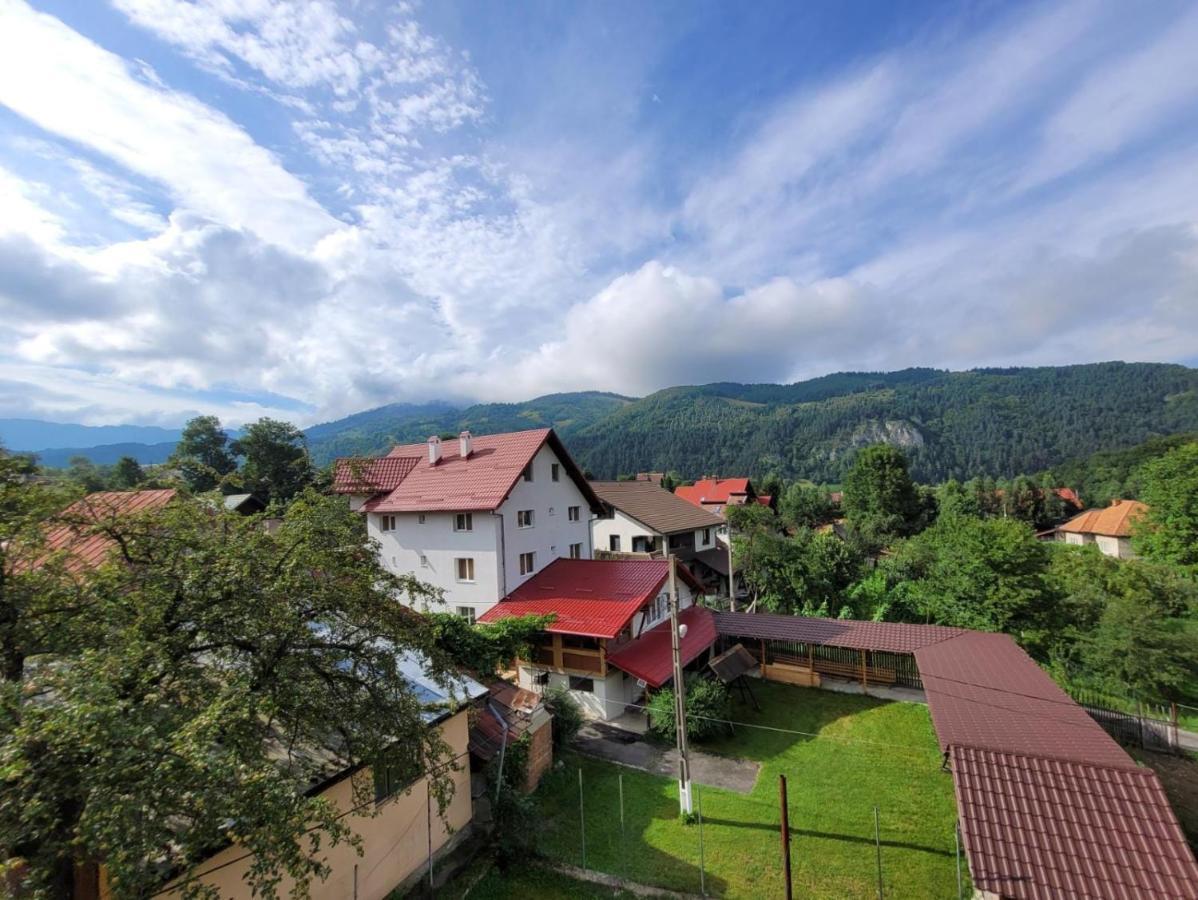 Vila Denisa Bran  Exterior foto